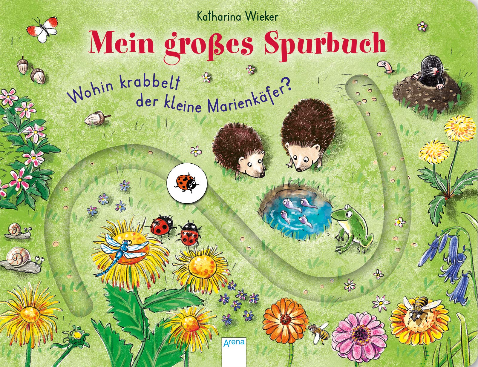 Mein großes Spurbuch: Wohin krabbelt der kleine Marienkäfer?