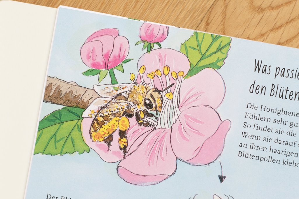 Mein kleines Gartenbuch Bienen