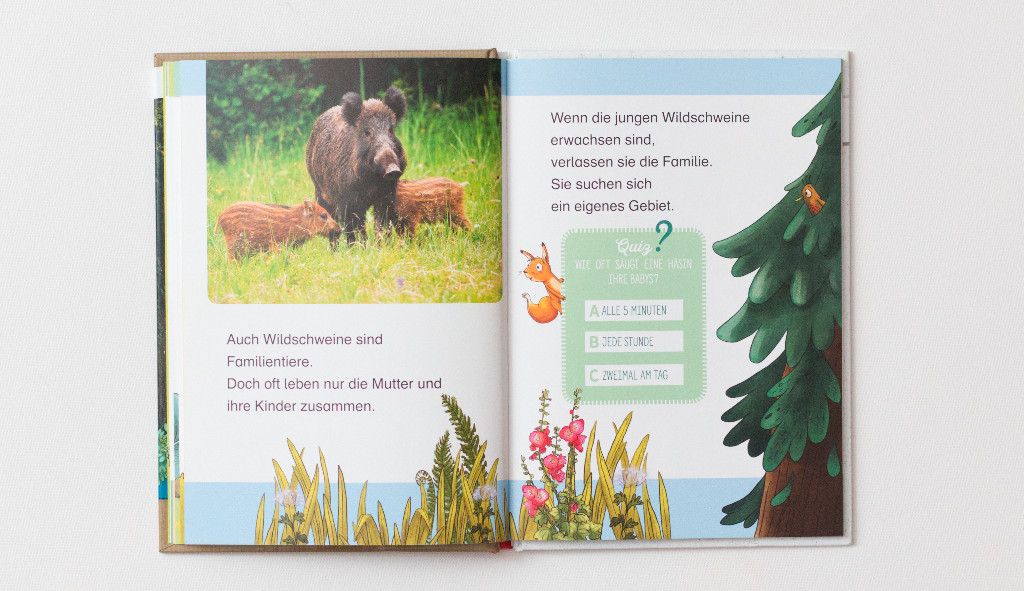 Lesestarter: Tierkinder im Wald