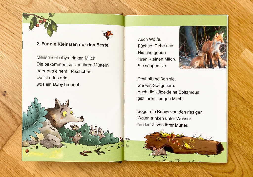 Peter & Piet: Was fressen die Tiere im wAld?