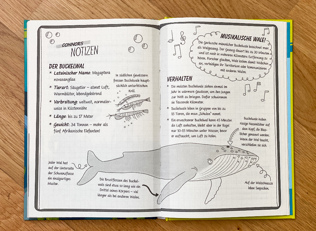Ein Fall für die Forscher-Kids: Rettet die Wale!