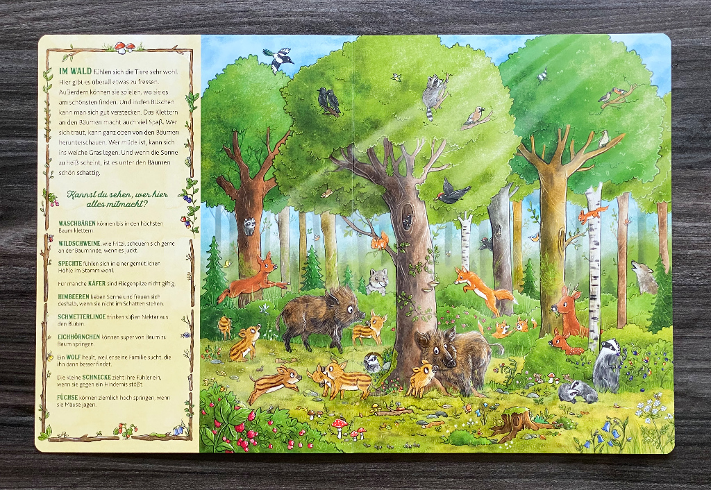 Das große Wald-Wimmelbuch