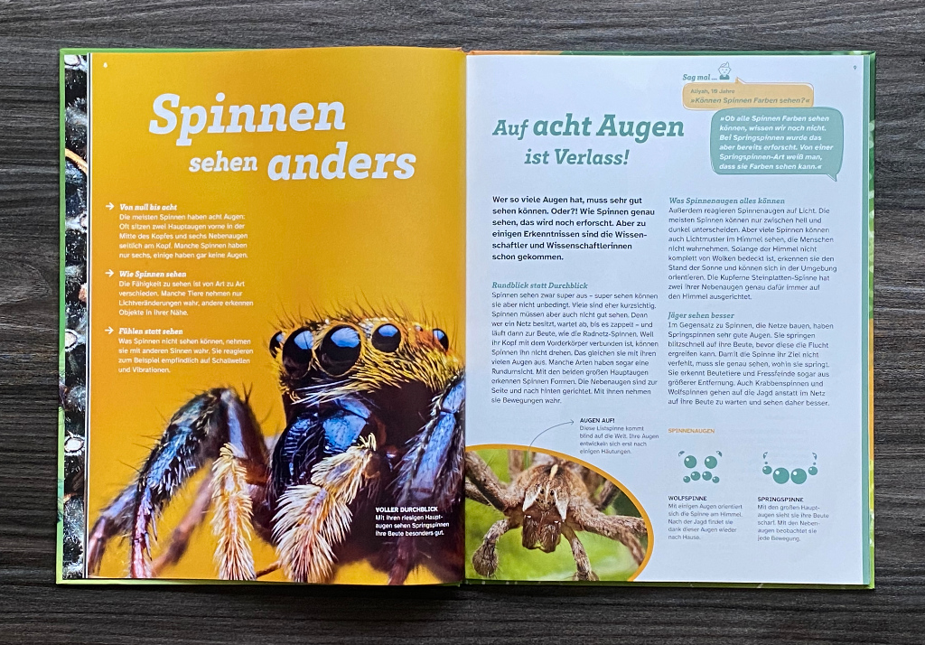 WAS IST WAS - Spinnen. Akrobaten auf acht Beinen