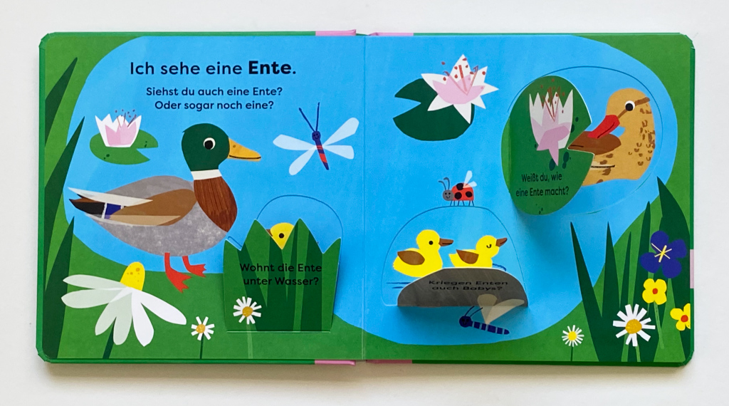 Mein erstes Naturentdeckerbuch: Da! Eine Ente