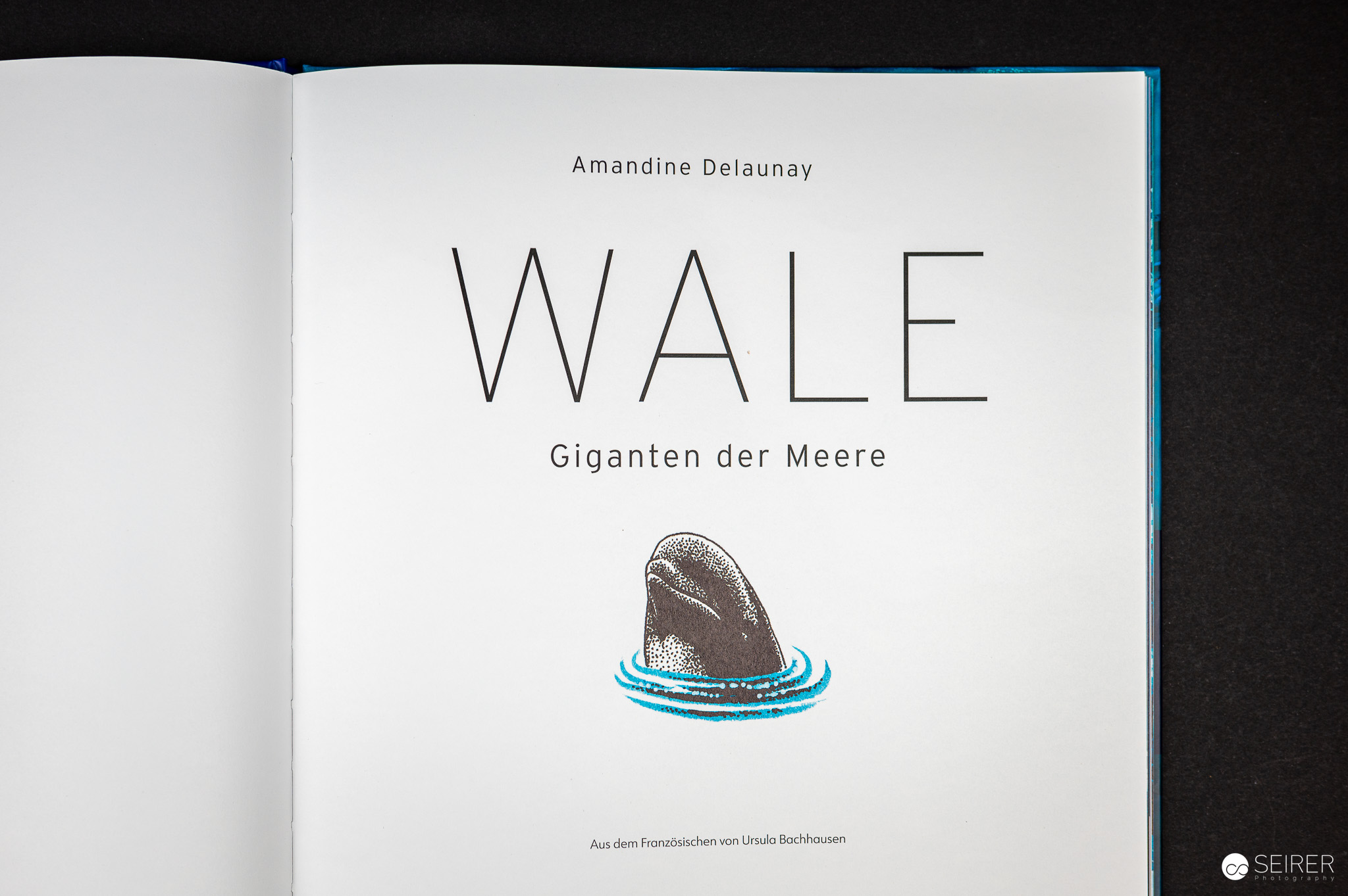 Wale - Giganten der Meere