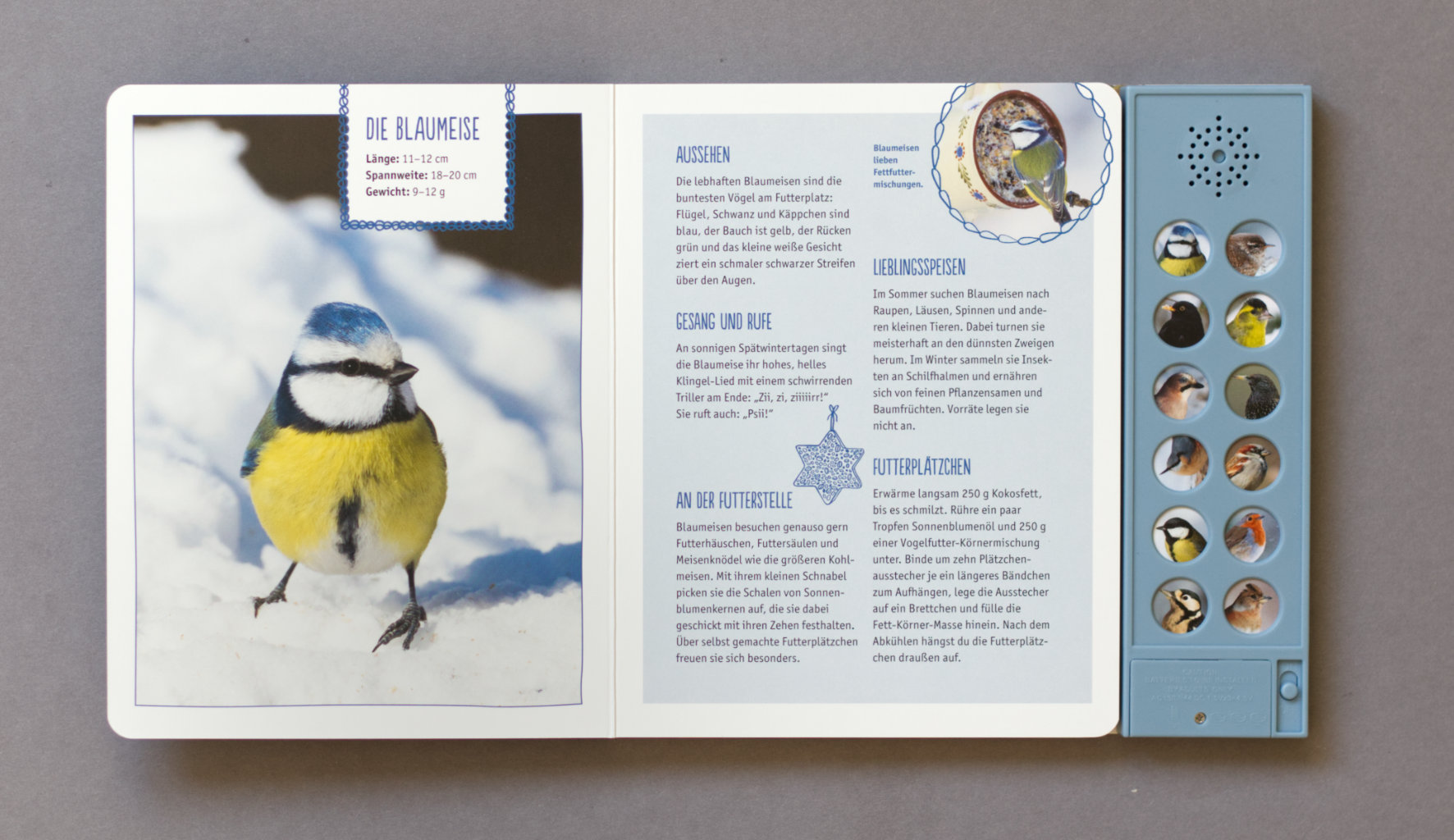 Vögel im Winter bei dir zu Gast