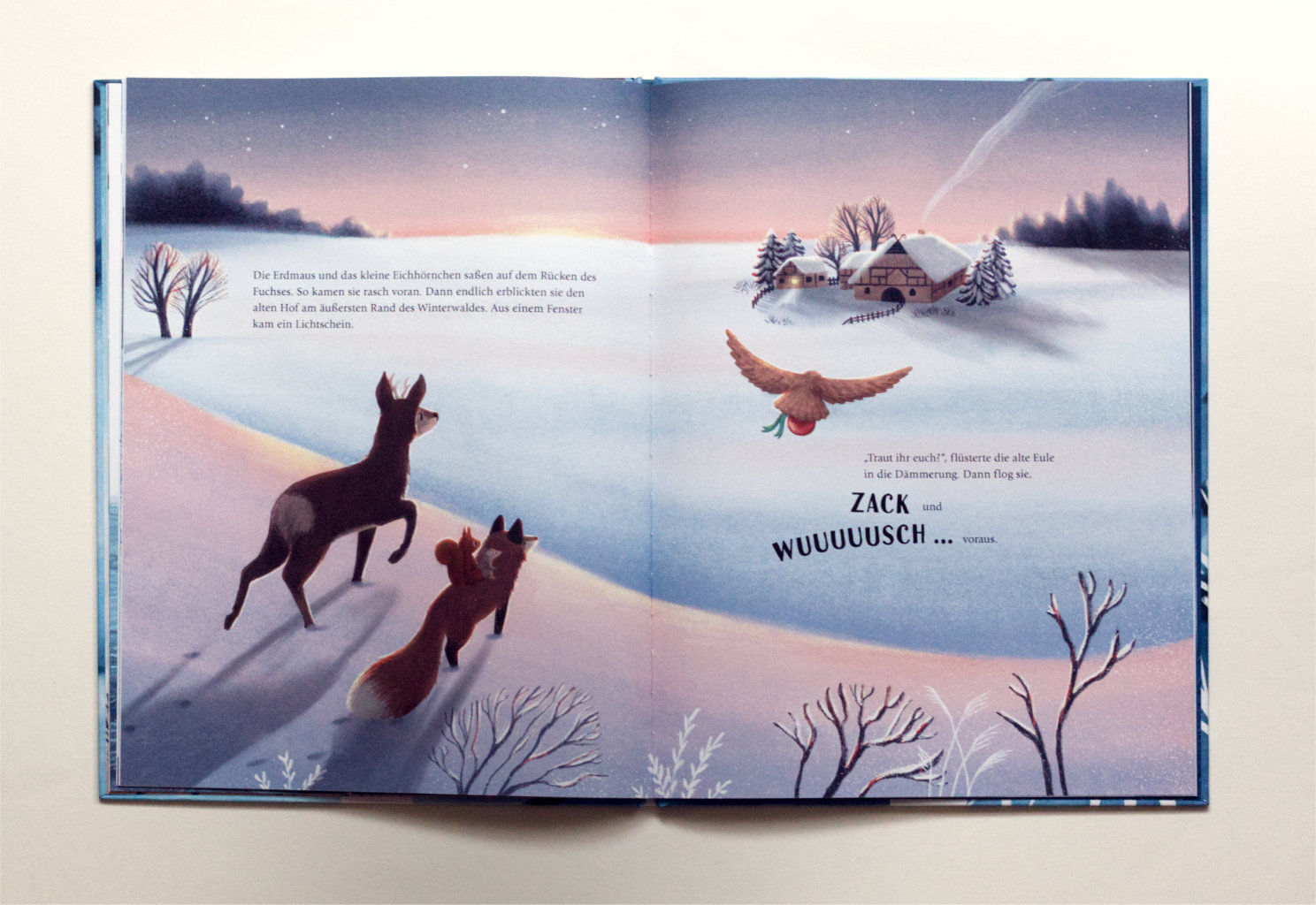 Wem gehört das Weihnachtsdings?