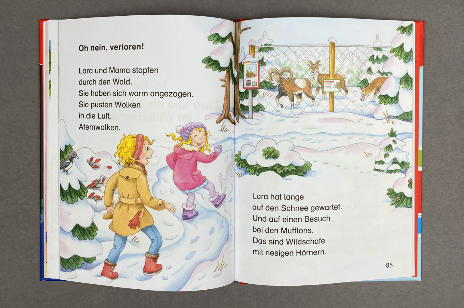 Leserabe: Zauberhafte Weihnachtsgeschichten für Erstleser