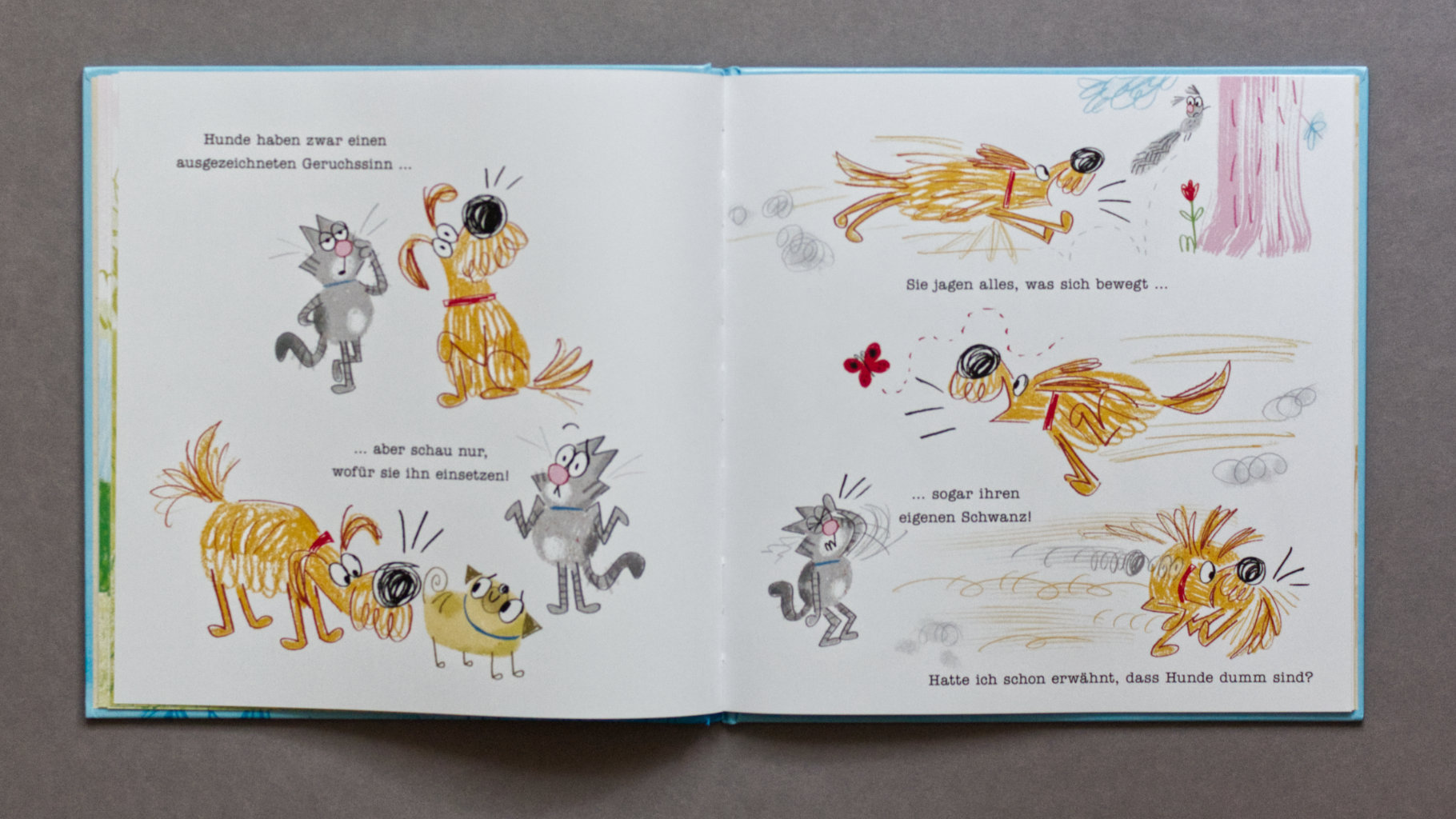 Alles was du über Hunde wissen musst, erzählt von einer Katze