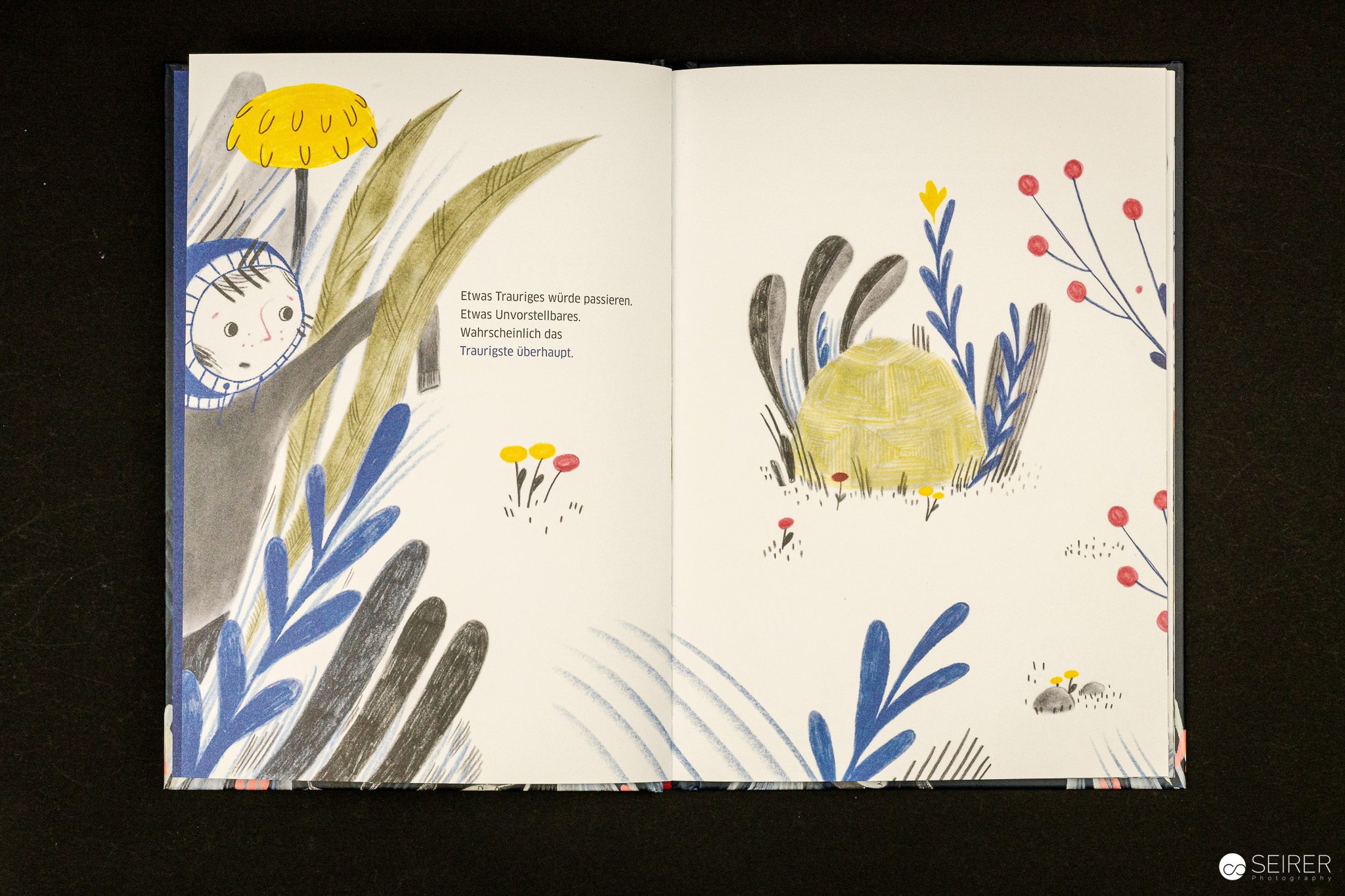 Komm, ich trag dich ein Stück, sagte die Schildkröte