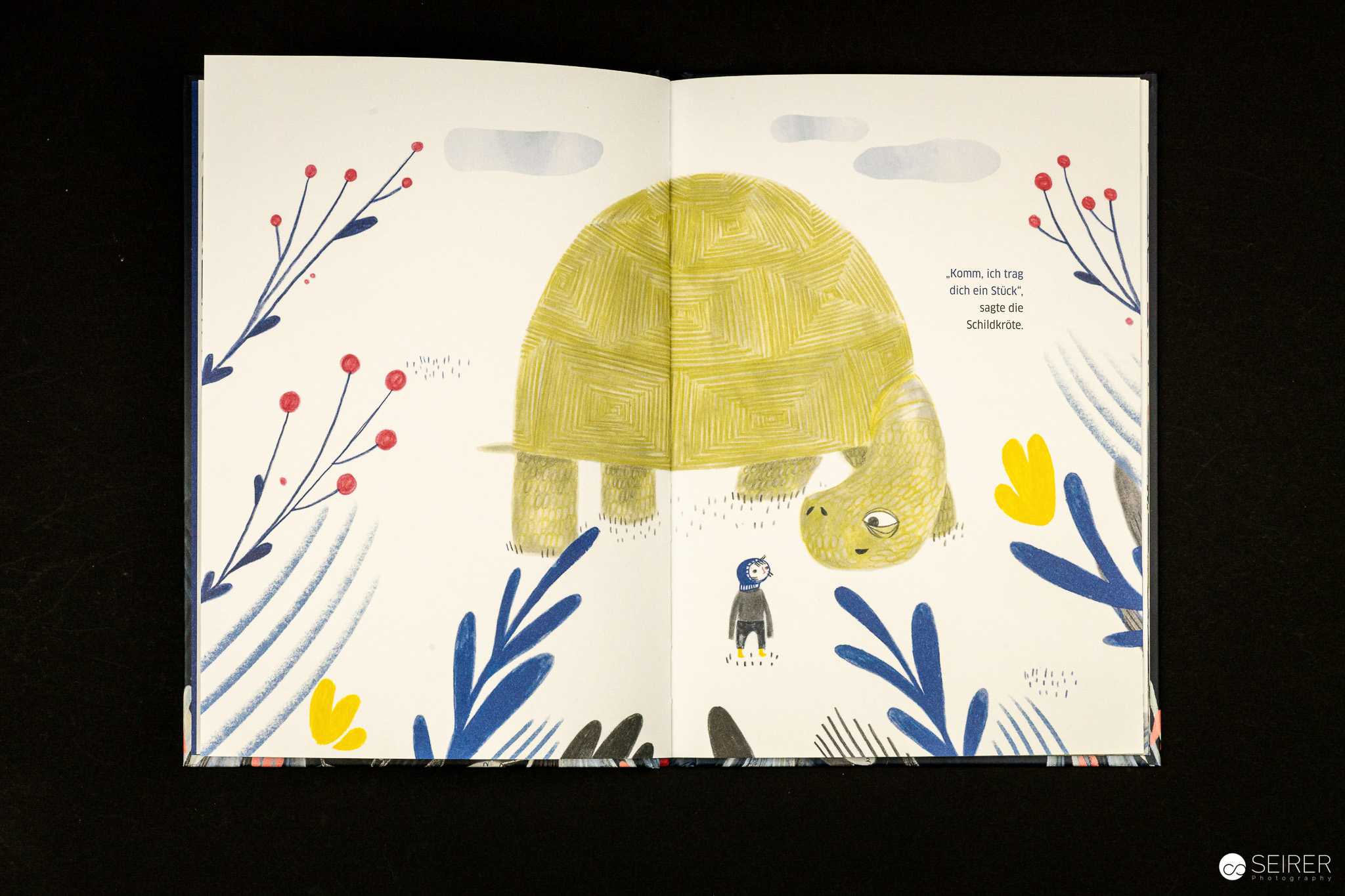 Komm, ich trag dich ein Stück, sagte die Schildkröte