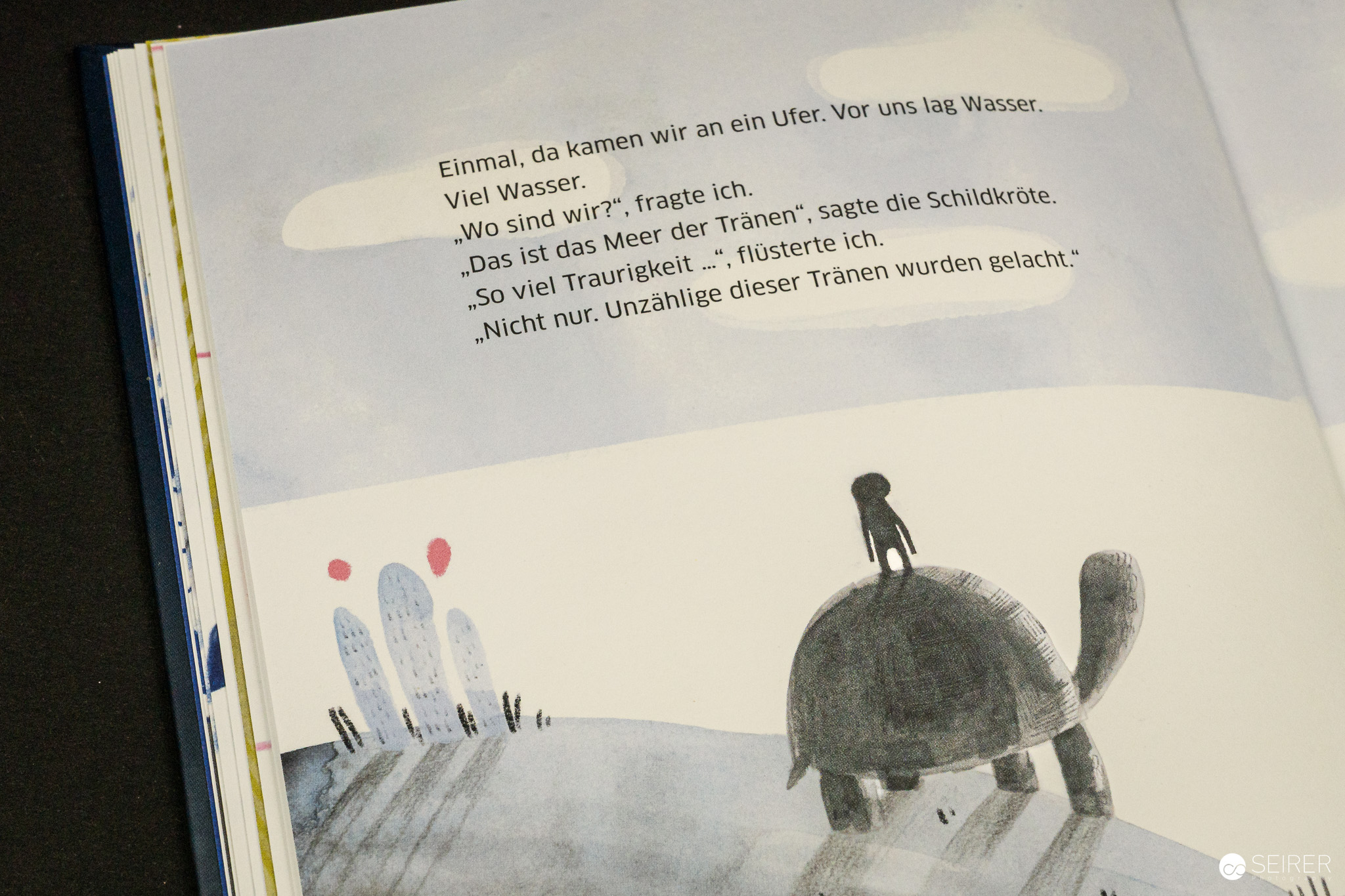 Komm, ich trag dich ein Stück, sagte die Schildkröte