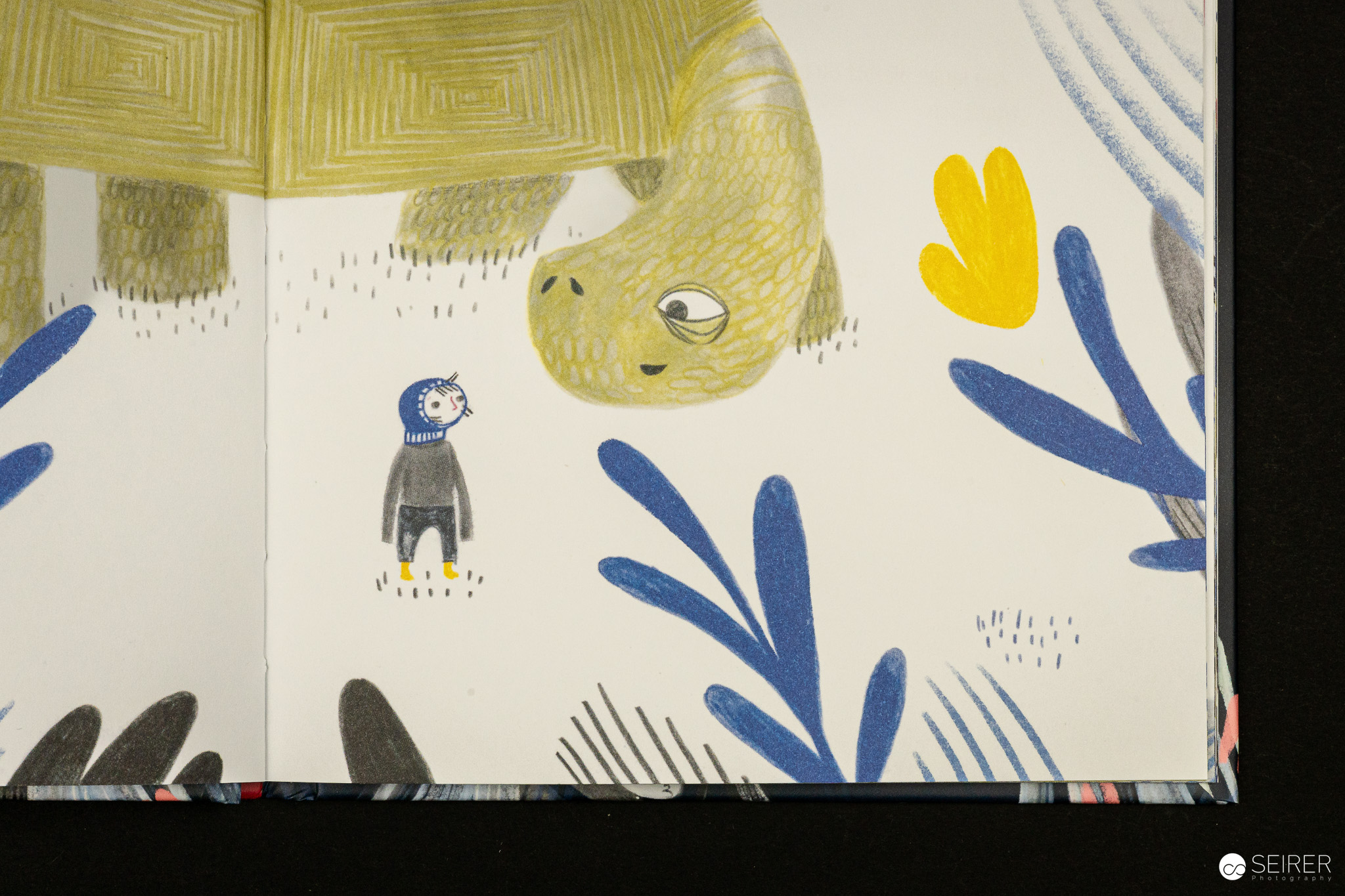 Komm, ich trag dich ein Stück, sagte die Schildkröte