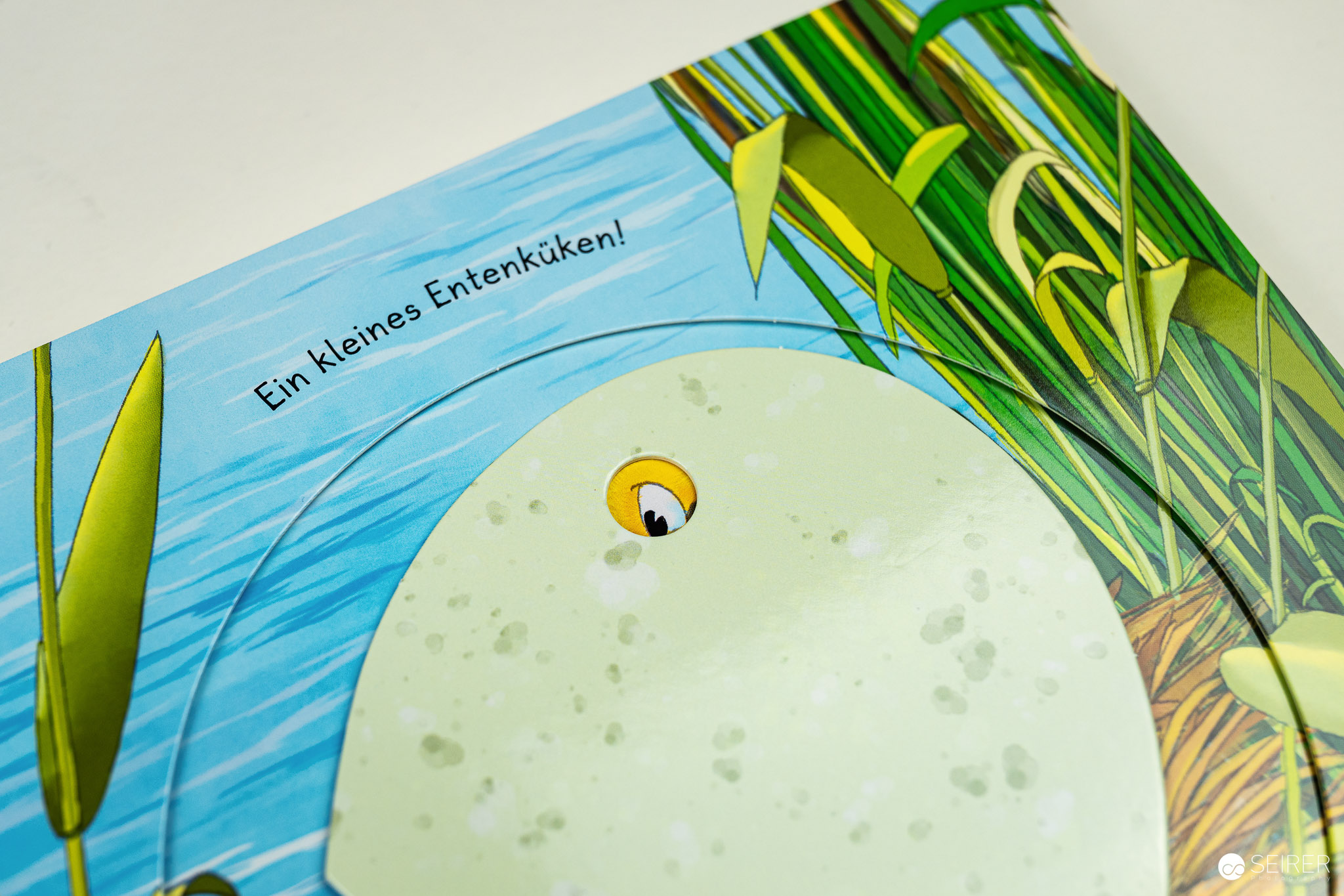 Wer schlüpft da aus dem Ei?