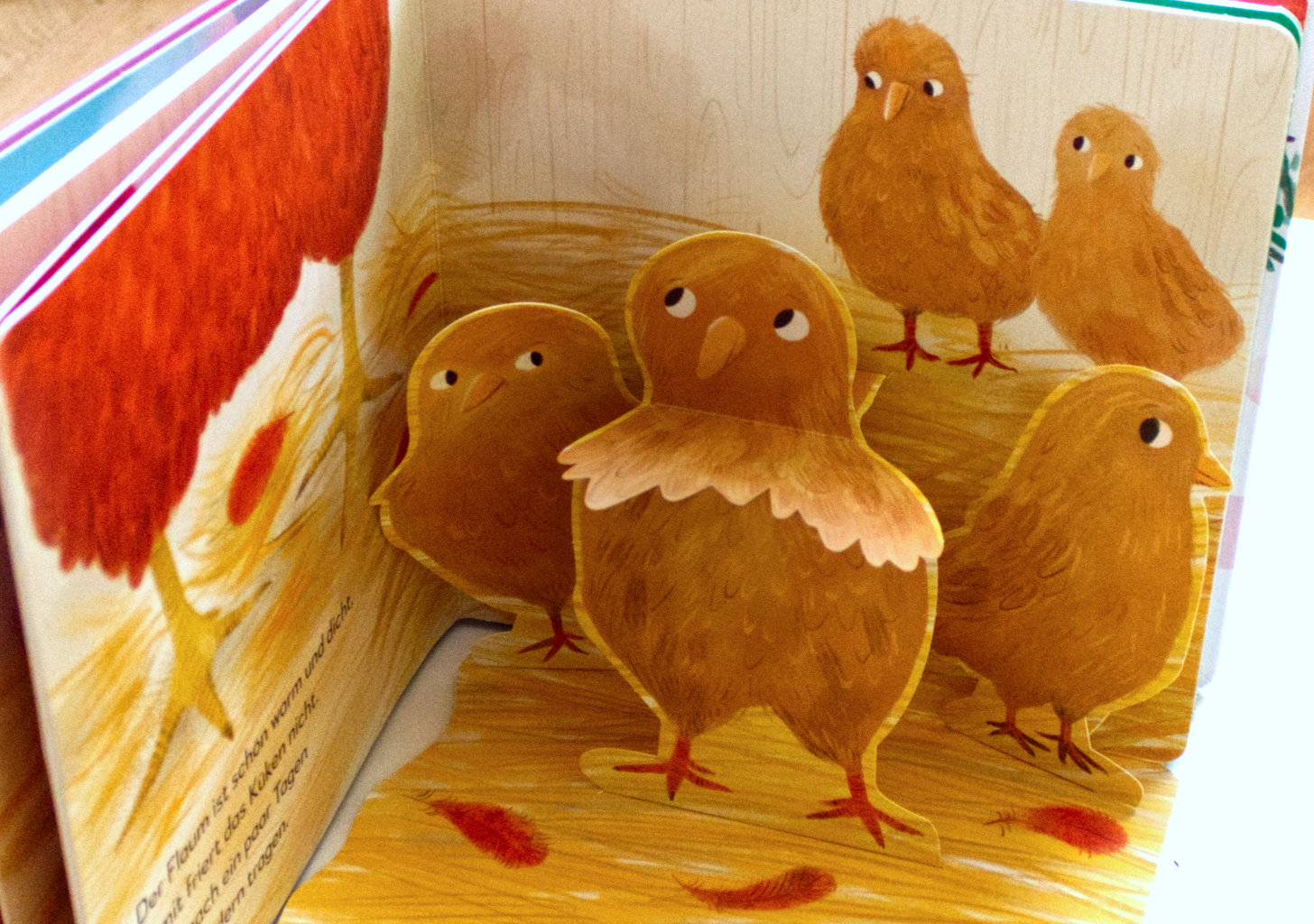 Wo kommst du her, kleines Küken?