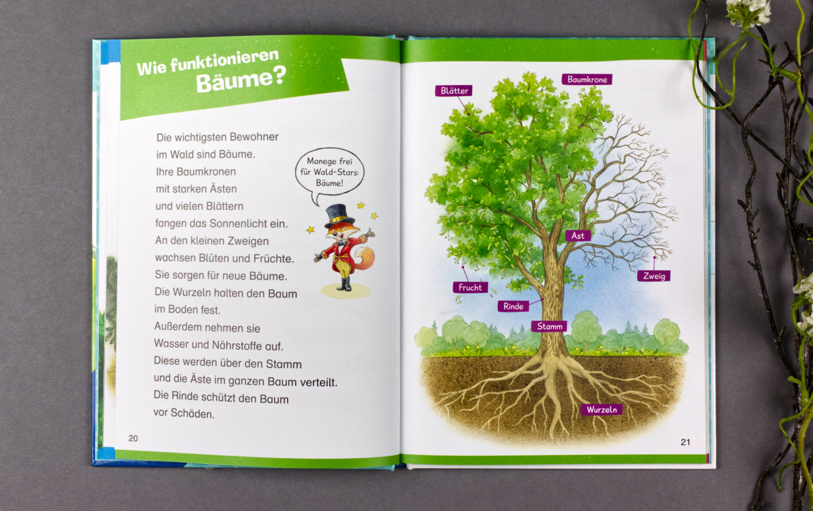 Wieso? Weshalb? Warum? Erstleser: Im Wald