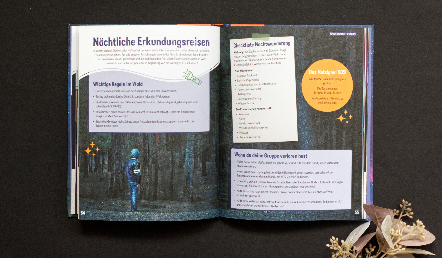 Anita van Saan: Die Nacht - Sternenhimmel, Tiere & Natur