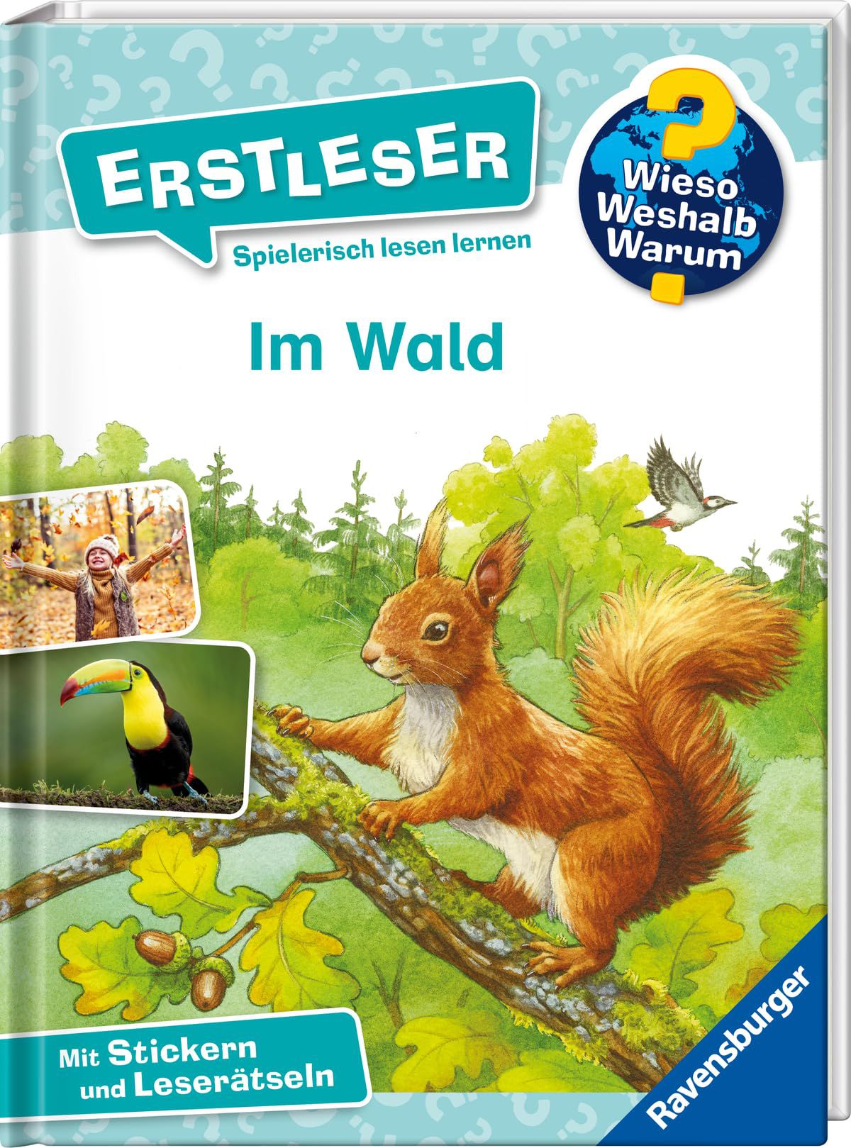 Im Wald