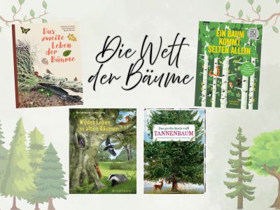 Die Welt der Bäume - Teil II